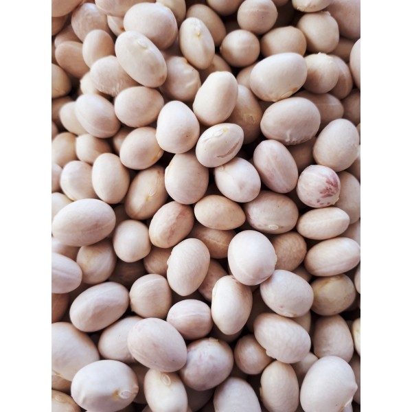 İspir Fasulyesi | Doğal Yöresel Ürün